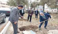 برگزاری مراسم روز درختکاری در شبکه بهداشت و درمان شهرستان ملایر